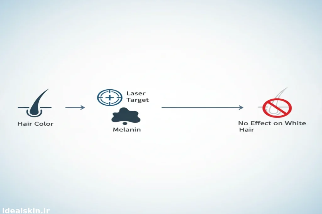 اینفوگرافیک انگلیسی مراحل هدفگیری لیزر بر اساس رنگ مو و ملانین و عدم اثر بر موی سفید