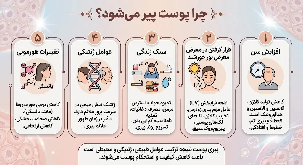 چرا پوست پیر میشود؟
