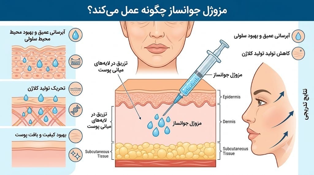 مزوژل جوانساز چگونه عمل میکند؟
